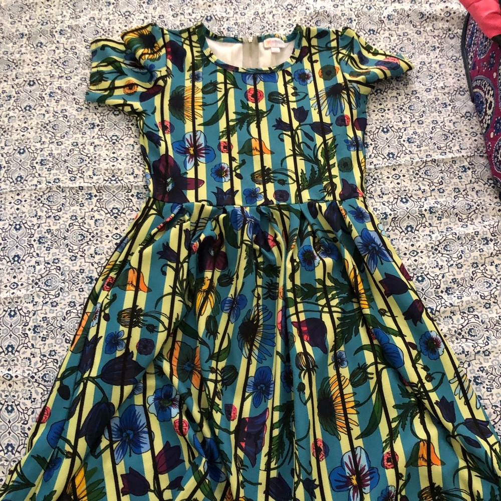 LLR AMELIA